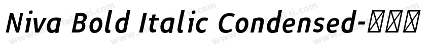 Niva Bold Italic Condensed字体转换